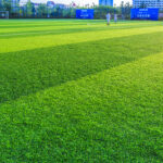 Artificial Grass Services in Kuala Lumpur
