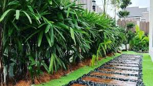 Wood Decking Service in Kuala Lumpur